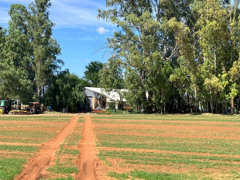 A view of the farm property featuring open fields, mature trees, and a large metal-clad agricultural shed in the distance.