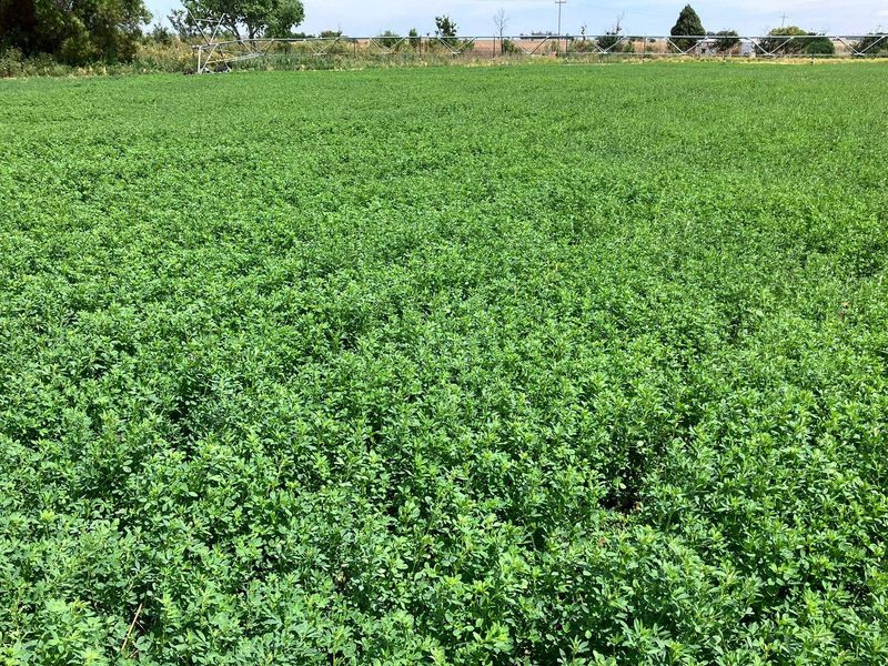 69 Ha Farm for sale. - Photo 5