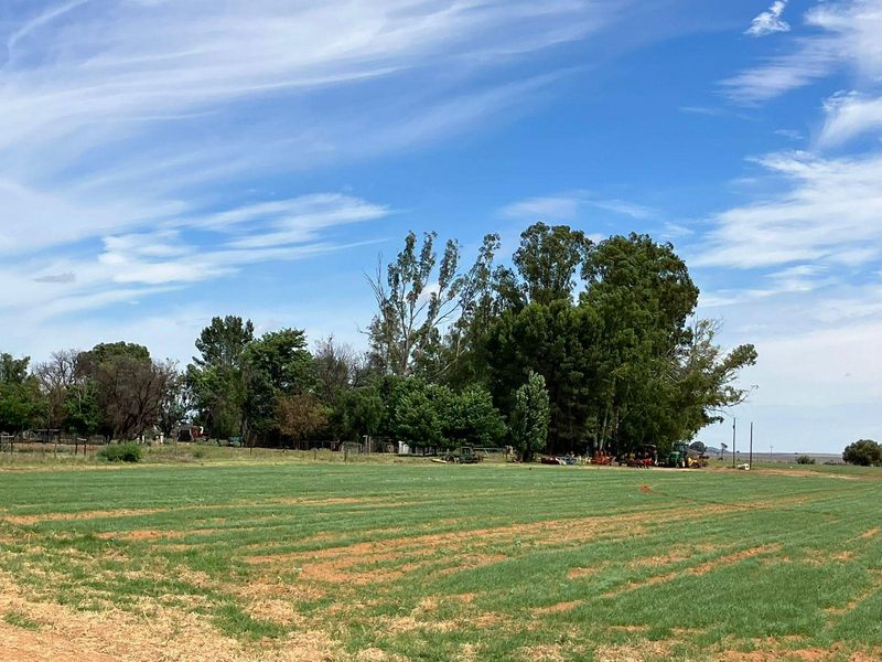 69 Ha Farm for sale. - Photo 6