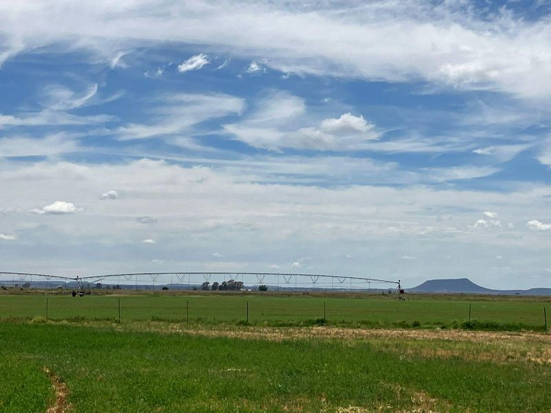 69 Ha Farm for sale. - Photo 4