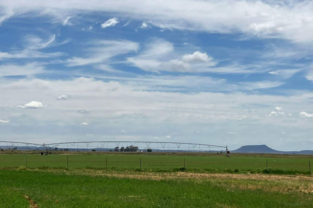 69 Ha Farm for sale. - Photo 4