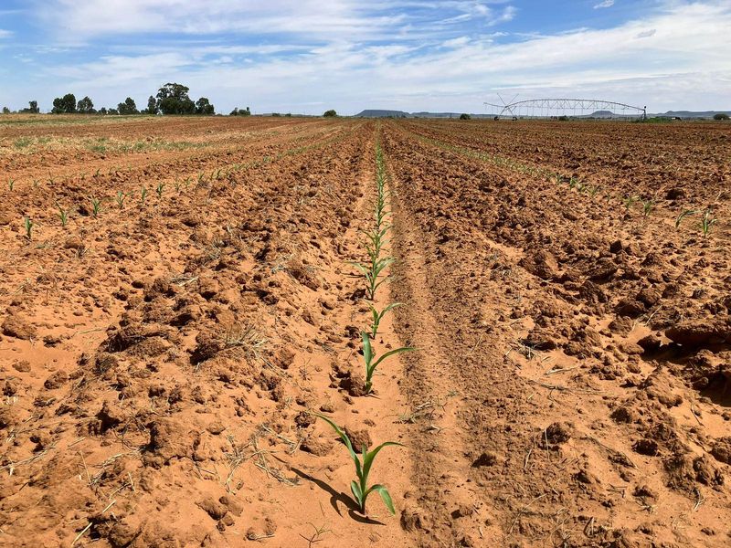 69 Ha Farm for sale. - Photo 9