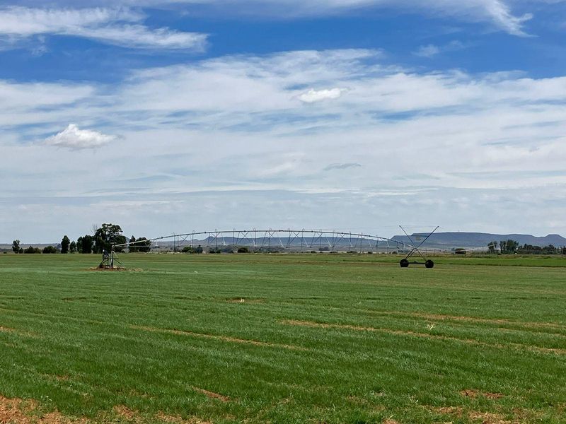 69 Ha Farm for sale. - Photo 2