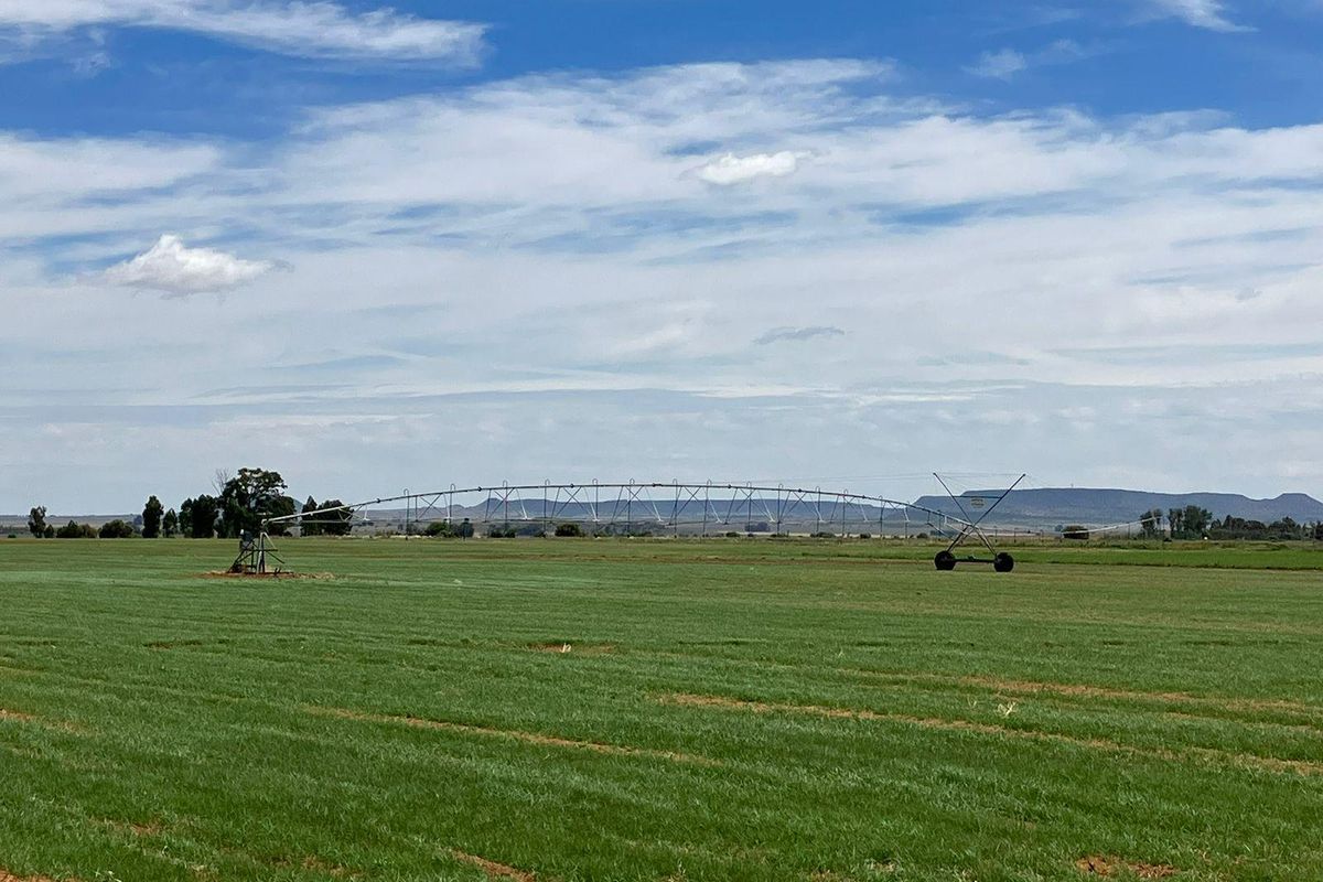 69 Ha Farm for sale. - Photo 2