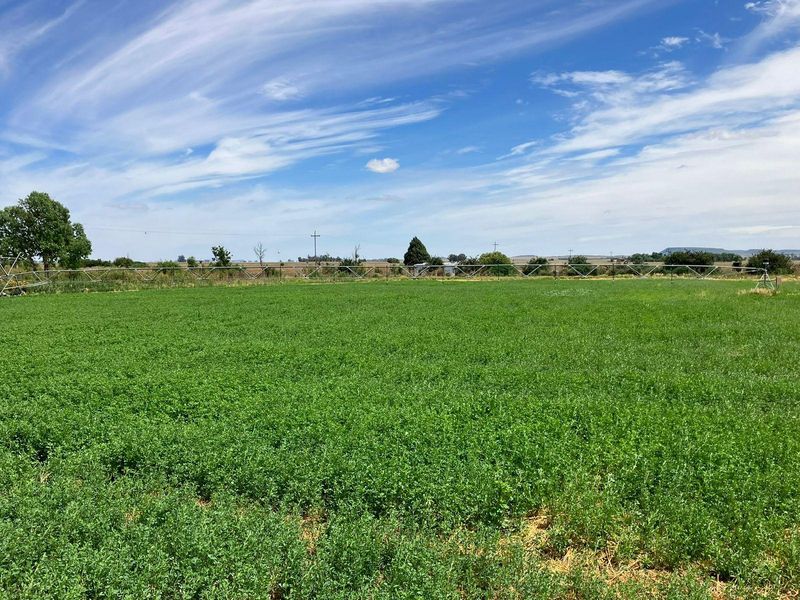 69 Ha Farm for sale. - Photo 3