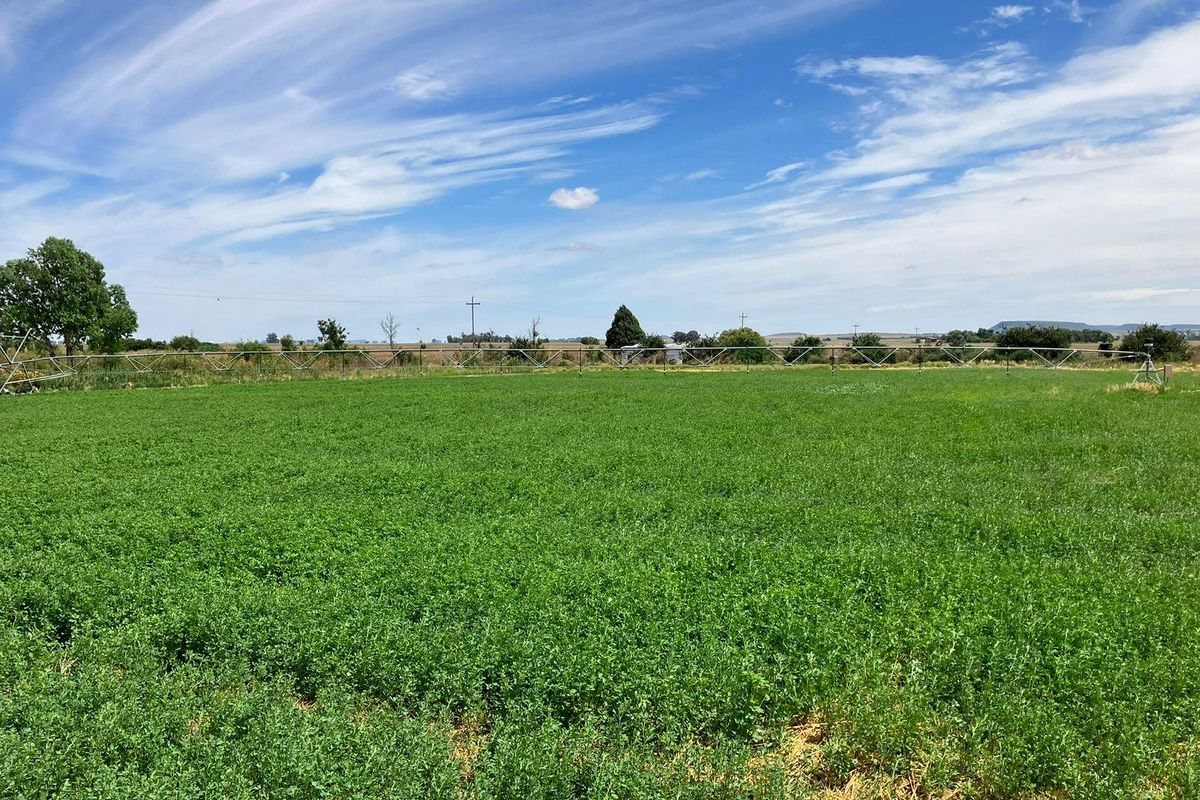 69 Ha Farm for sale. - Photo 3