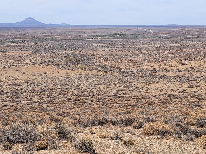 Loeriesfontein Plaas - 6354 ha - Photo 7