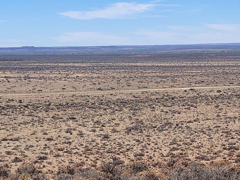 Loeriesfontein Plaas - 6354 ha - Photo 6