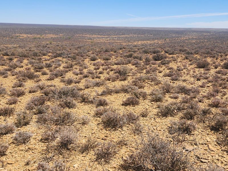 Loeriesfontein Plaas - 6354 ha - Photo 2