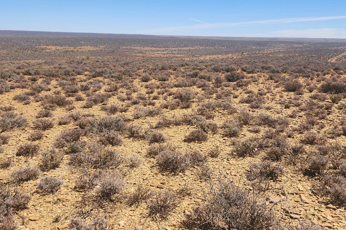 Loeriesfontein Plaas - 6354 ha - Photo 2
