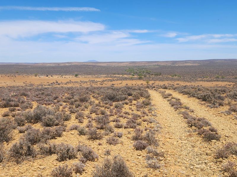 Loeriesfontein Plaas - 6354 ha - Photo 3