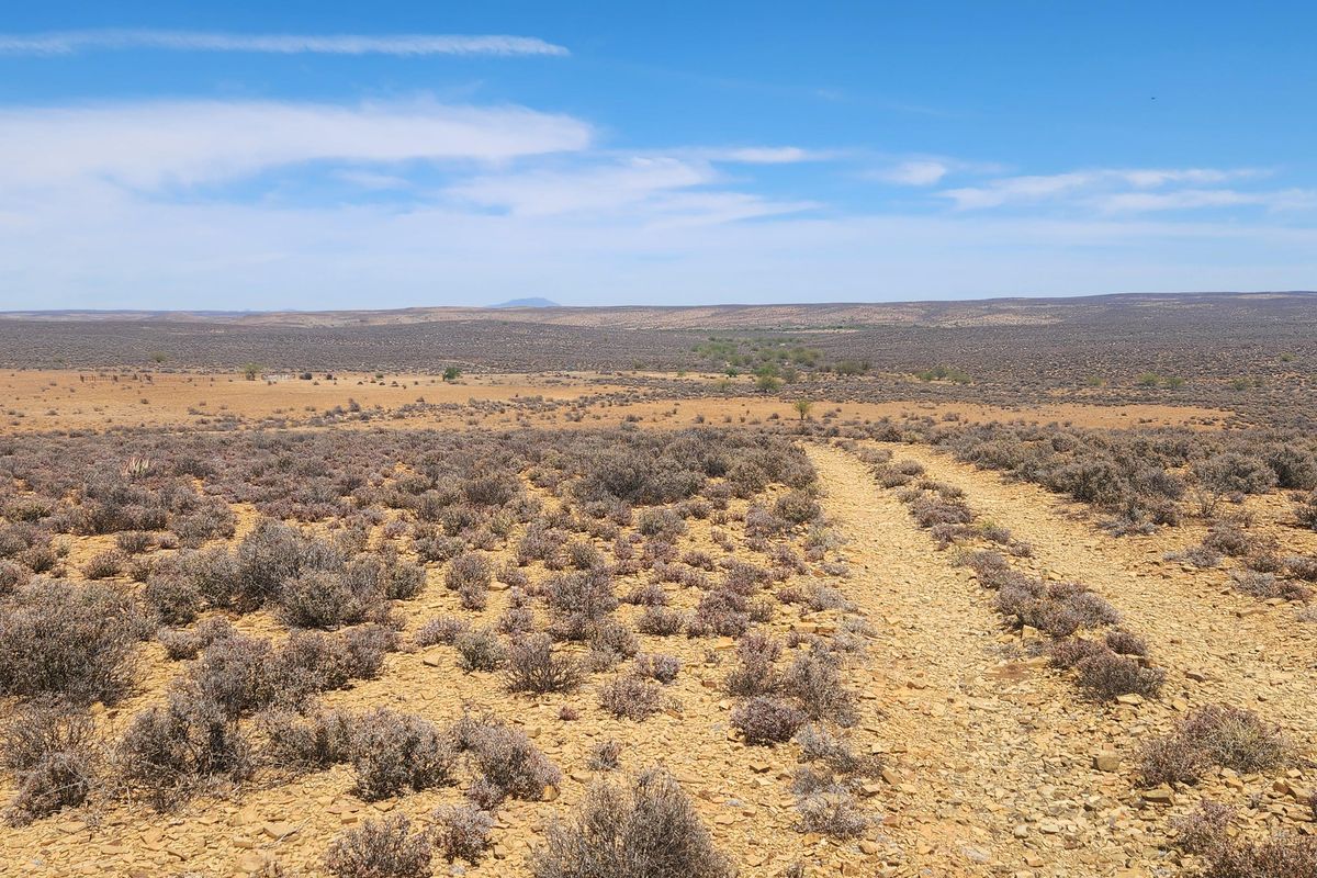 Loeriesfontein Plaas - 6354 ha - Photo 3