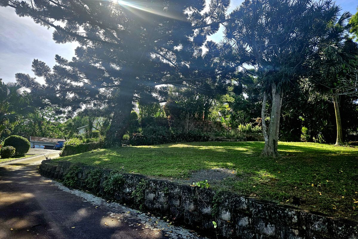 Remarkable Home in Rockdale - Photo 5