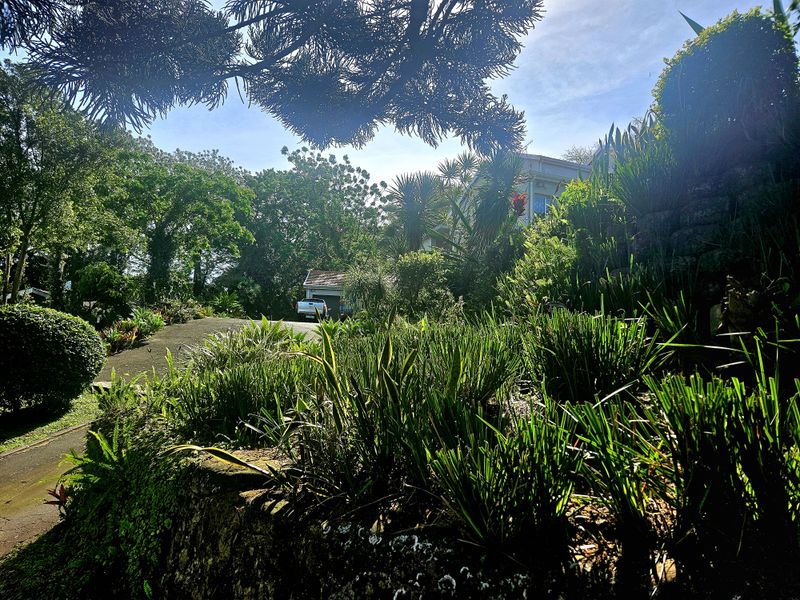 Remarkable Home in Rockdale - Photo 7