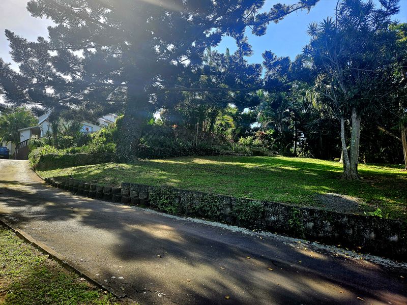 Remarkable Home in Rockdale - Photo 6