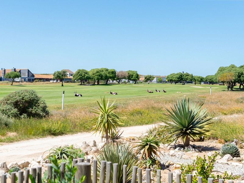 A scenic view overlooking a manicured green landscape with indigenous vegetation and wildlife in the distance.