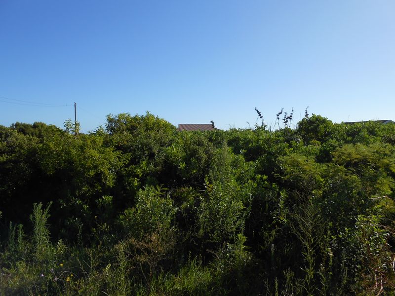 Value With A View - Photo 3