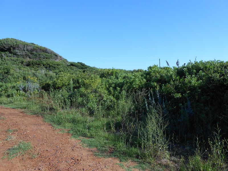 Value With A View - Photo 5