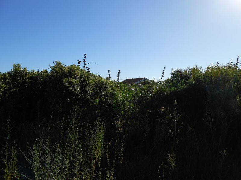 Value With A View - Photo 4