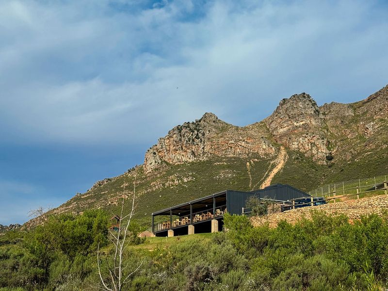 Exceptional Farm Estate at the Foot of the Mostertshoek Mountains - Photo 3