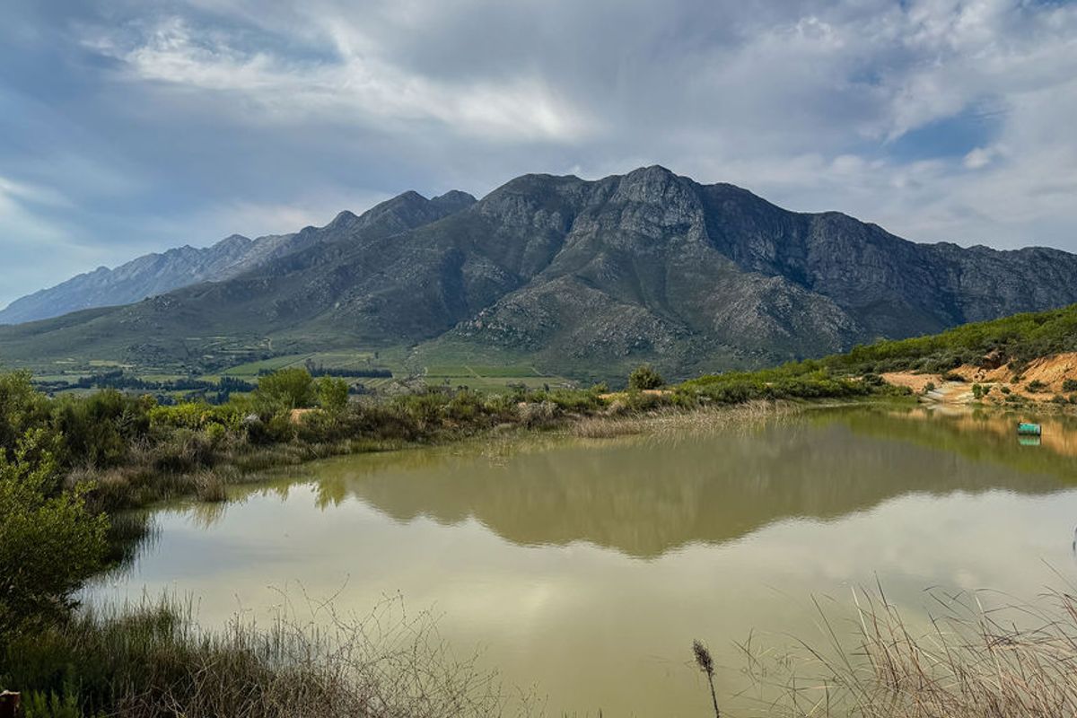 Exceptional Farm Estate at the Foot of the Mostertshoek Mountains - Photo 5