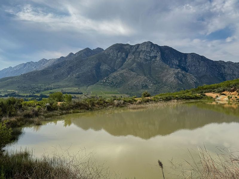 Exceptional Farm Estate at the Foot of the Mostertshoek Mountains - Photo 5