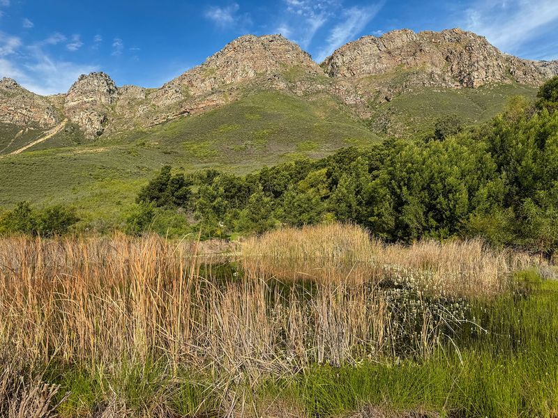 Exceptional Farm Estate at the Foot of the Mostertshoek Mountains - Photo 9
