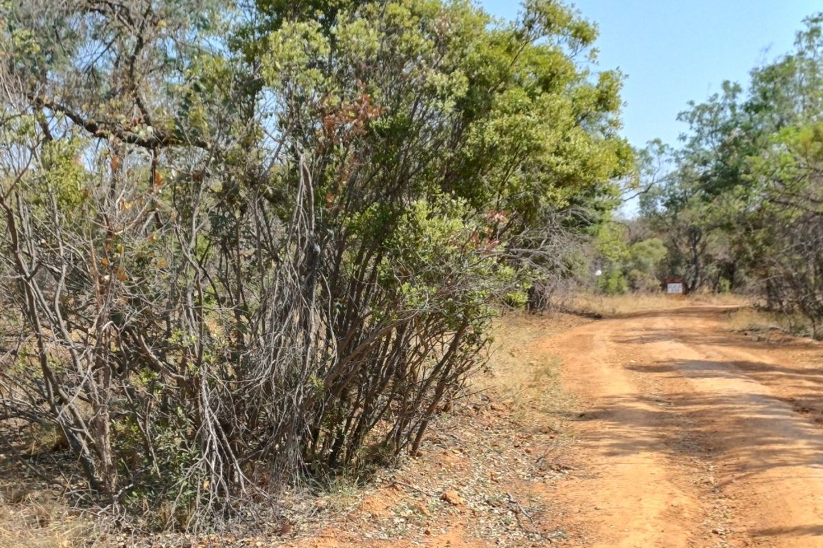 Vacant land for Sale in Wildlife Estate - Photo 3