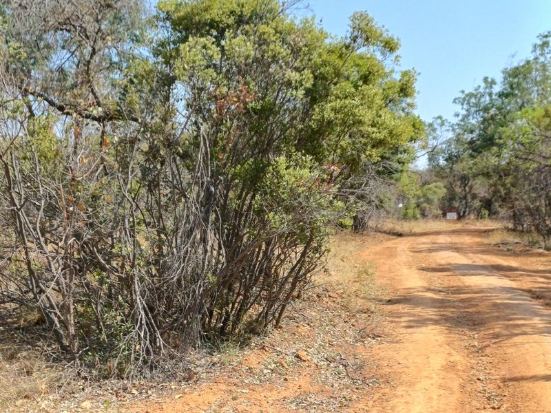 Vacant land for Sale in Wildlife Estate - Photo 3