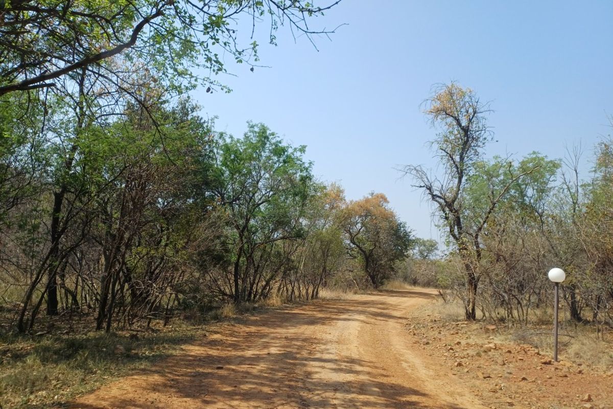 Vacant land for Sale in Wildlife Estate - Photo 5