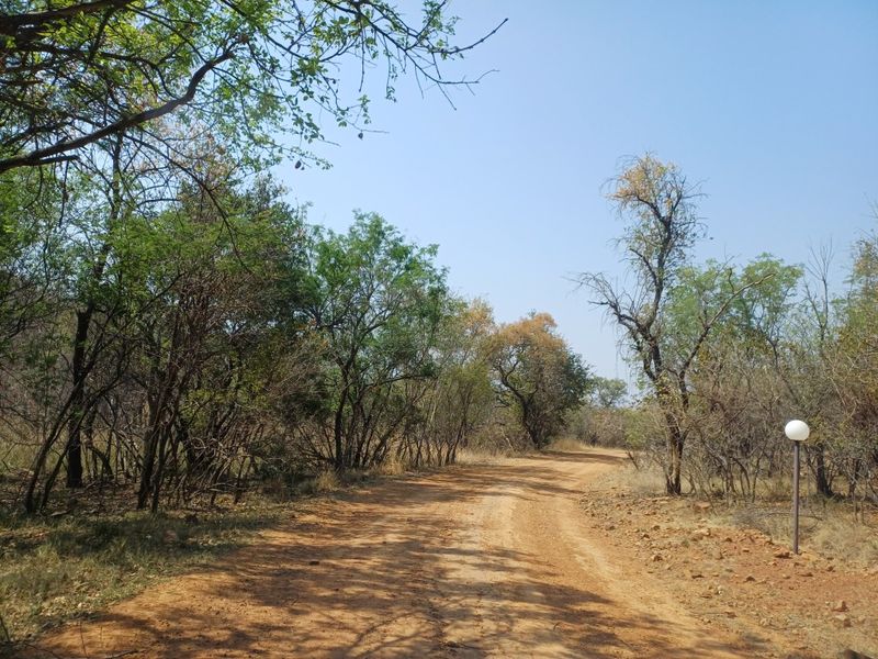 Vacant land for Sale in Wildlife Estate - Photo 5