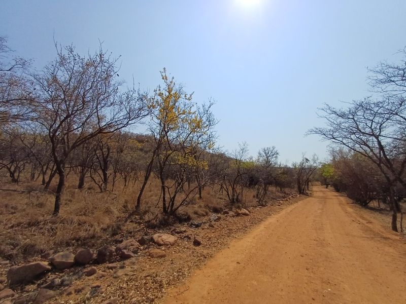 Vacant land for Sale in Wildlife Estate - Photo 9