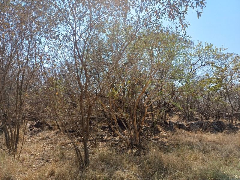 Vacant land for Sale in Wildlife Estate - Photo 7