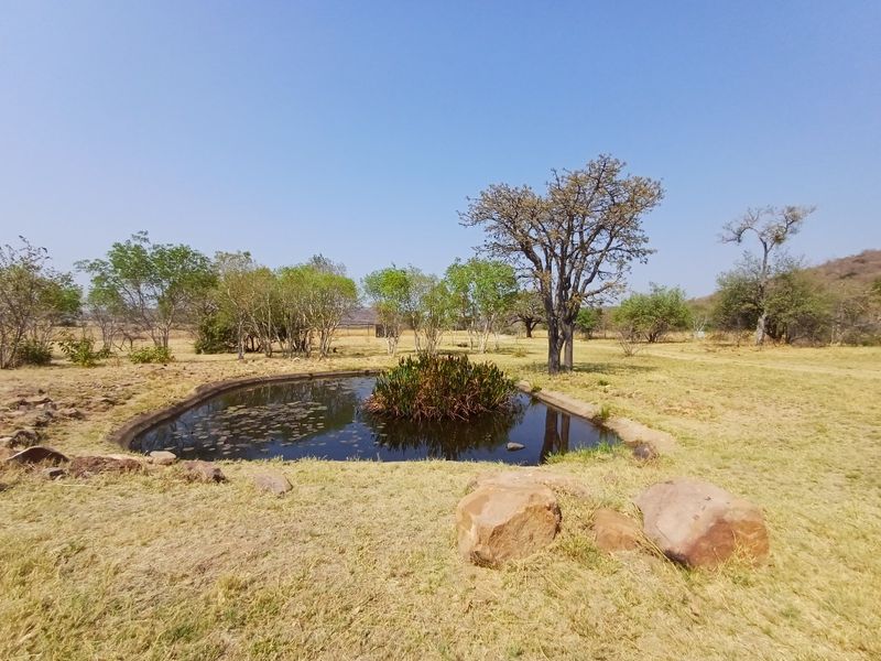 Vacant land for Sale in Wildlife Estate - Photo 8