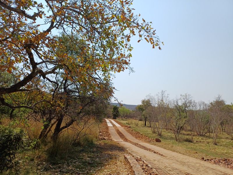 Vacant land for Sale in Wildlife Estate - Photo 6