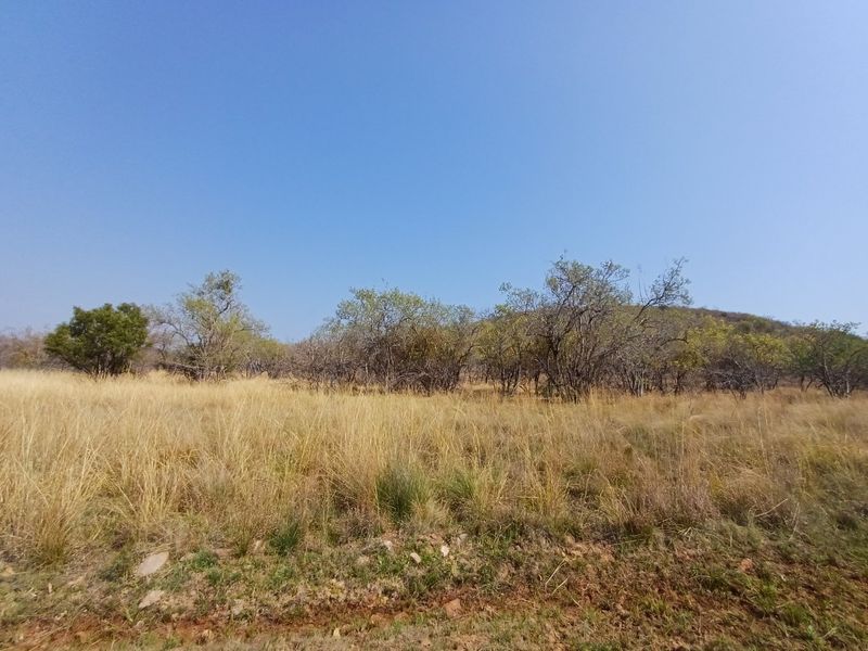 Vacant land for Sale in Wildlife Estate - Photo 2
