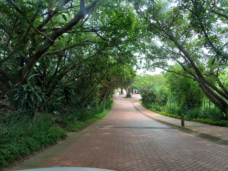 Luxury 3 Bedroom Home  – Zimbali Coastal Estate - Photo 3