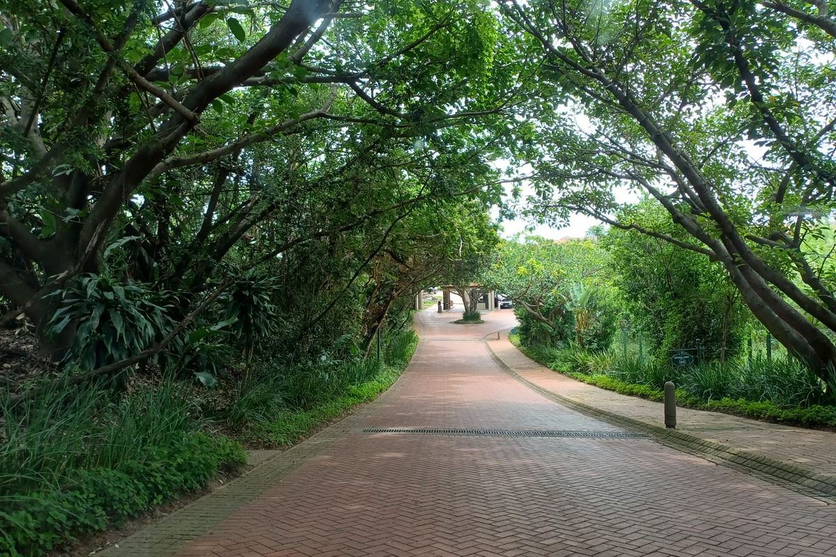 Luxury 3 Bedroom Home  – Zimbali Coastal Estate - Photo 3