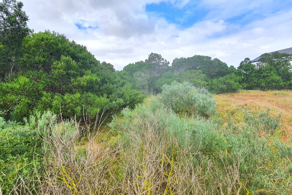 Build our dream home in secure & peaceful Shelley Point Golf Estate - Photo 2