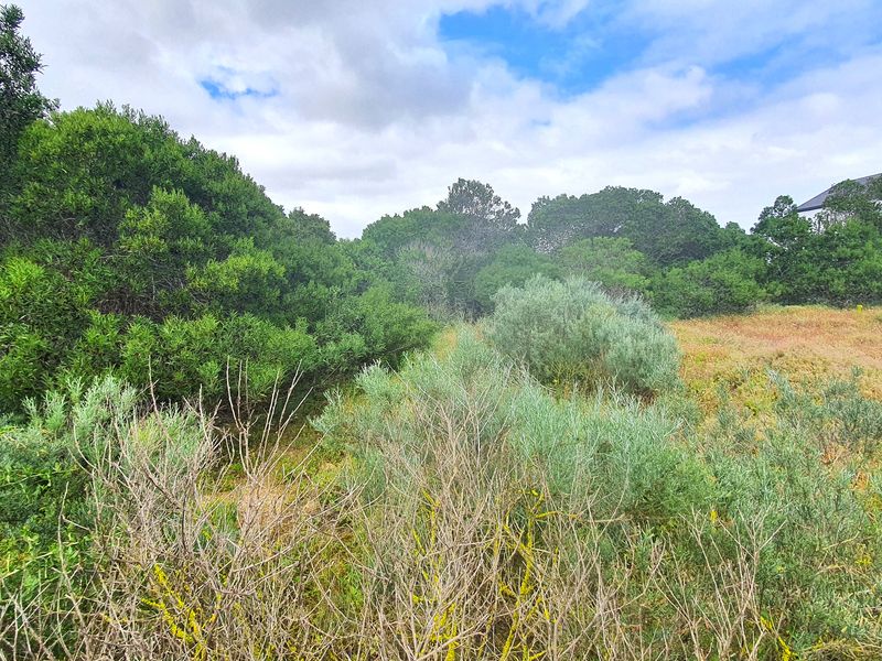 Build our dream home in secure & peaceful Shelley Point Golf Estate - Photo 2