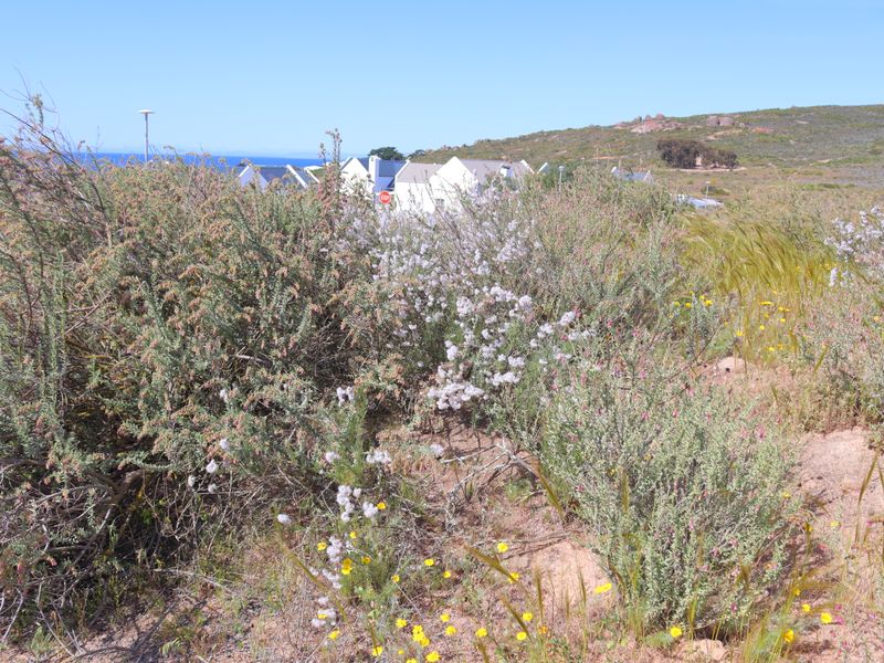 Vacnt land for Sale in Harbour Lights, St Helena Bay - Photo 7