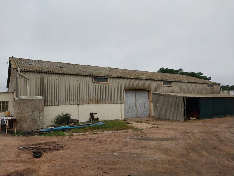 Large industrial-style agricultural shed featuring corrugated metal cladding, a lean-to storage area, and an external water tank on a dirt yard.