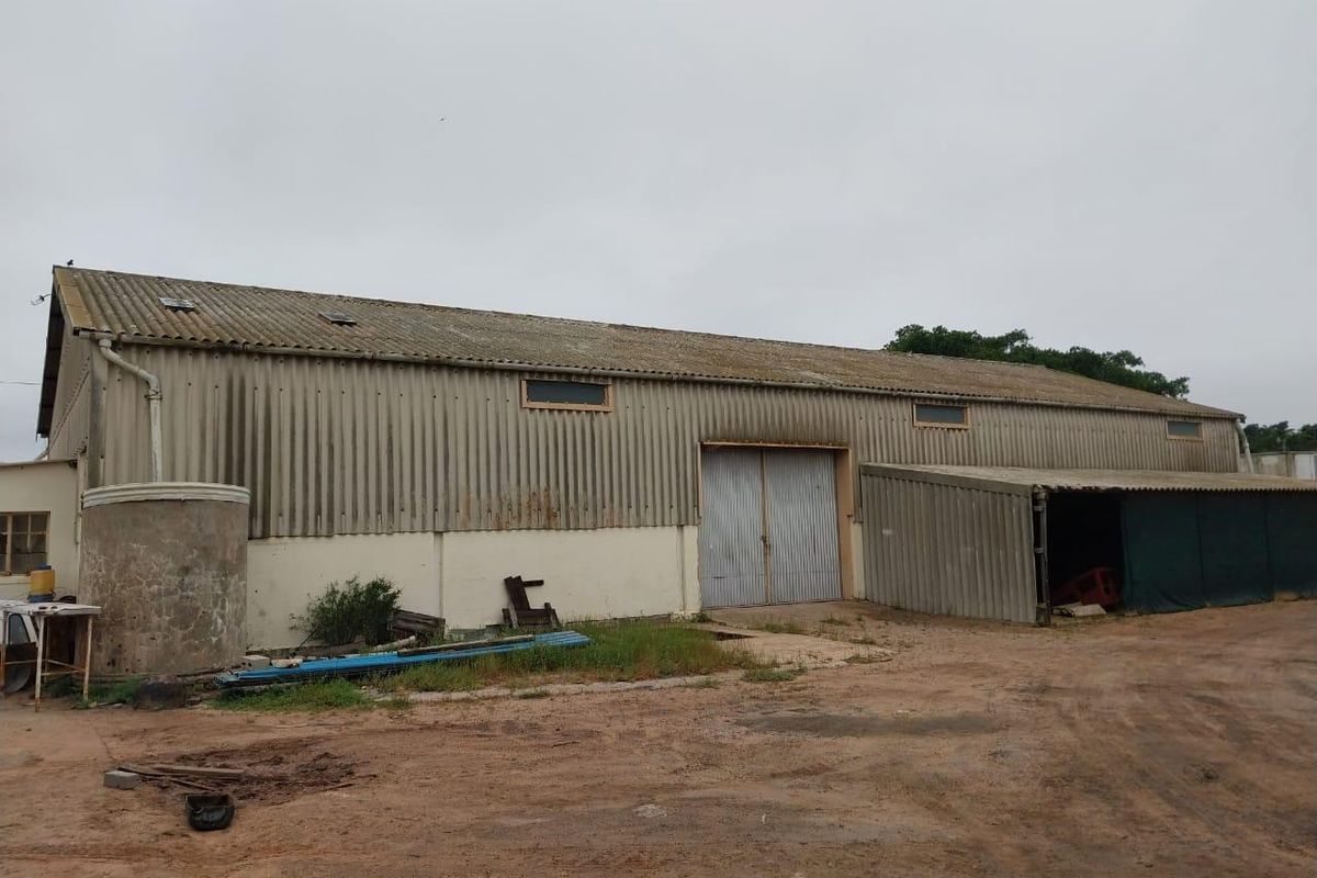 Large industrial-style agricultural shed featuring corrugated metal cladding, a lean-to storage area, and an external water tank on a dirt yard.