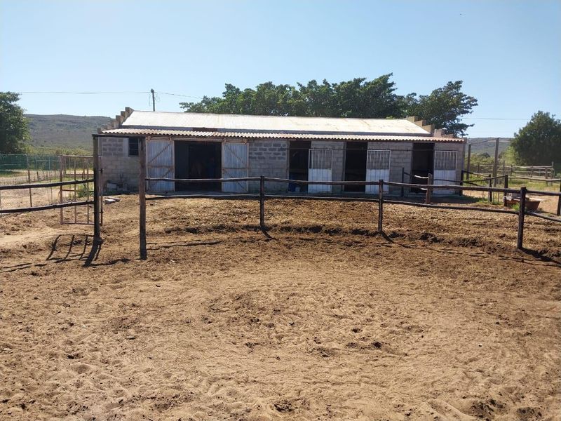 Outdoor equestrian arena featuring a sand surface, timber post and rail fencing, and a multi-stall stable block with corrugated metal roofing.