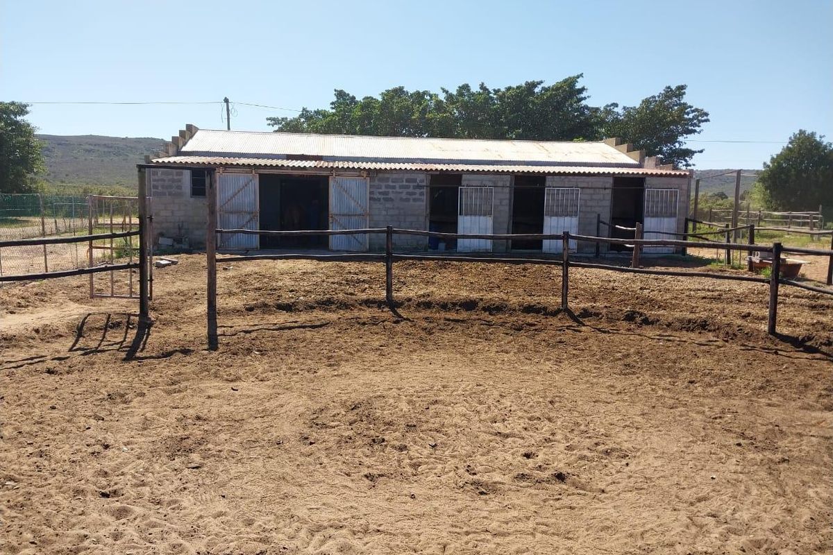 Outdoor equestrian arena featuring a sand surface, timber post and rail fencing, and a multi-stall stable block with corrugated metal roofing.