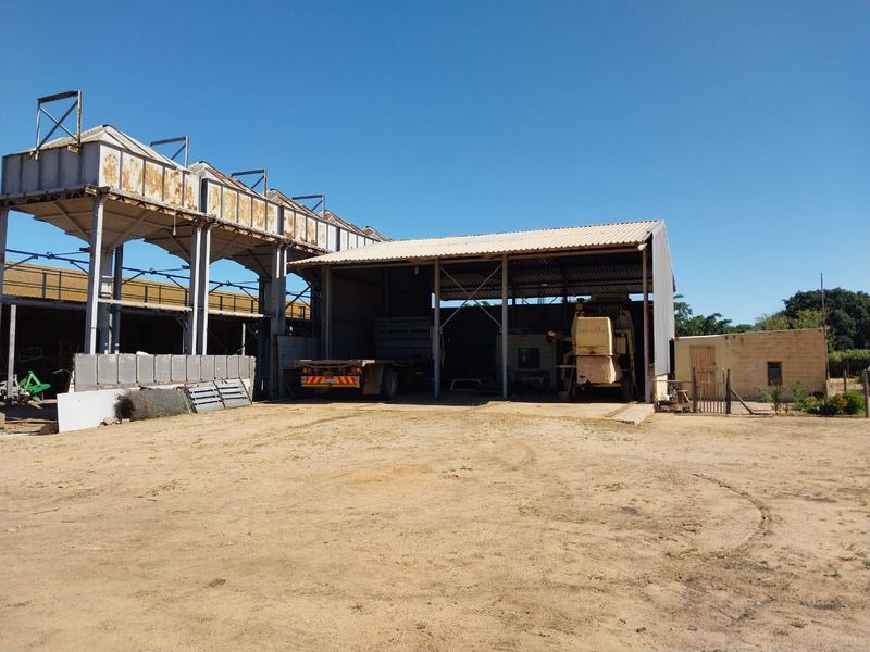 Large agricultural utility shed and grain storage infrastructure on a small holding, featuring steel frame construction and open-sided storage bays.