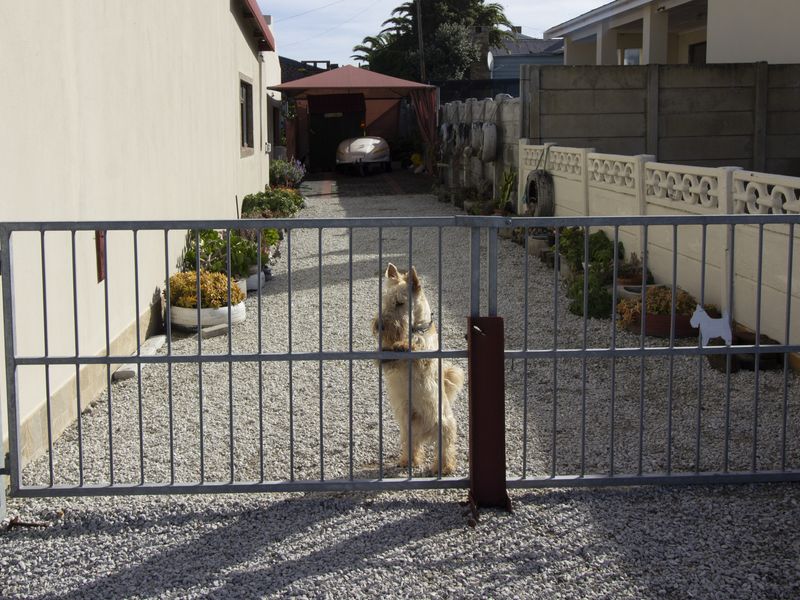 LARGE COASTAL HOME, PRIME INVESTMENT, FLAT RENTAL INCOME - Photo 7