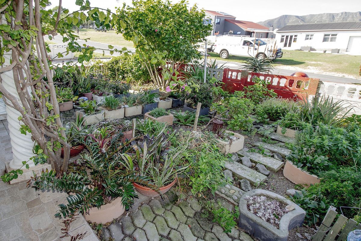 LARGE COASTAL HOME, PRIME INVESTMENT, FLAT RENTAL INCOME - Photo 3