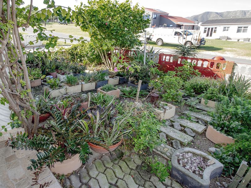 LARGE COASTAL HOME, PRIME INVESTMENT, FLAT RENTAL INCOME - Photo 3