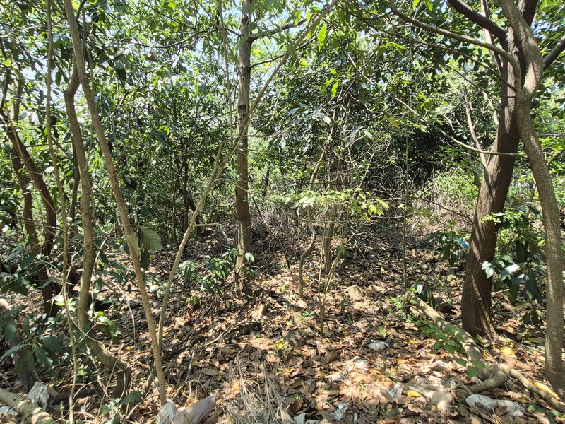 Dream boldly and create grandly - prime Westville property - Photo 9